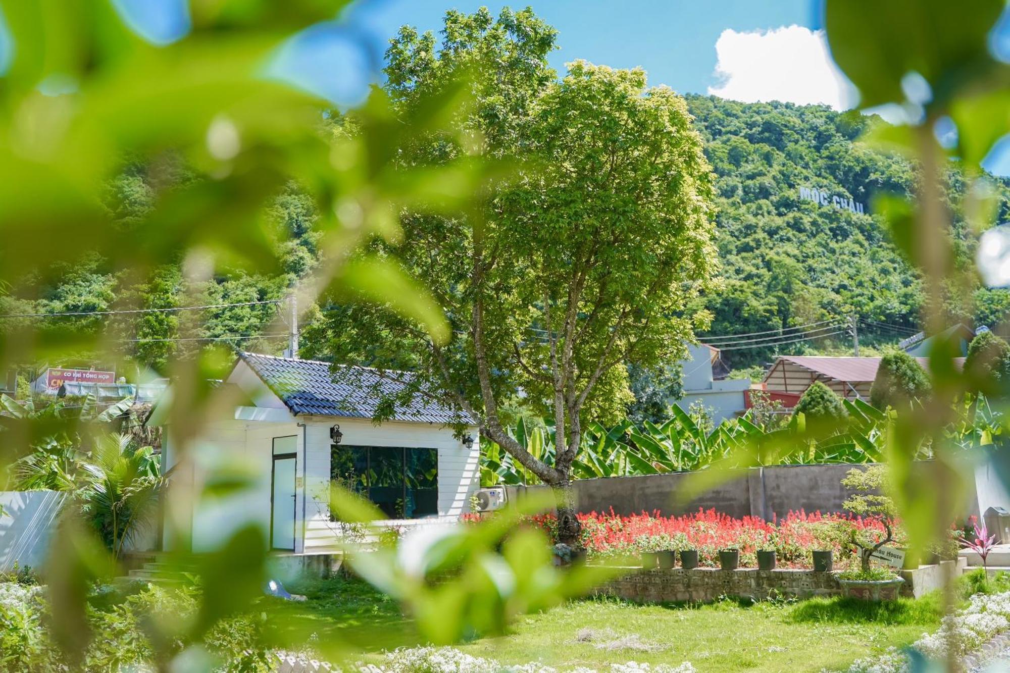 Moc Chau House Hotel Exterior photo